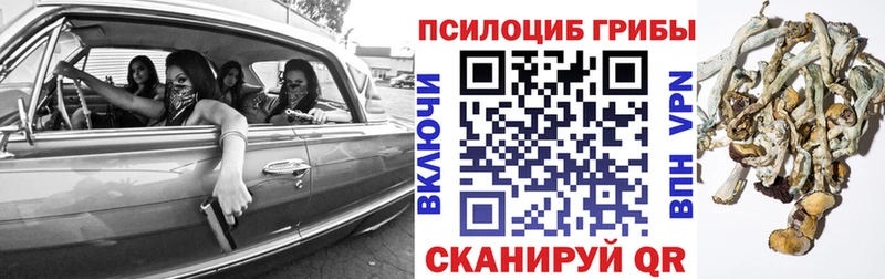 Псилоцибиновые грибы мухоморы  наркота  Южа 